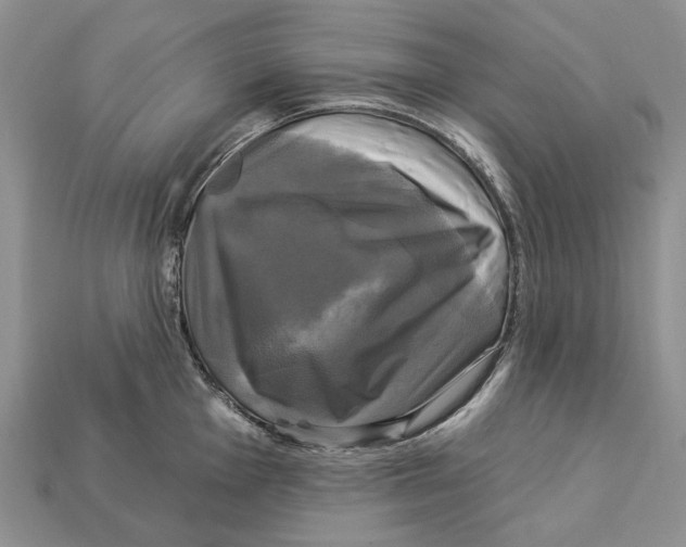 X0000113051001200909241451