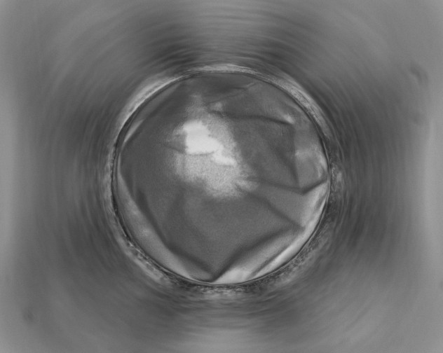 X0000113051002200909241451