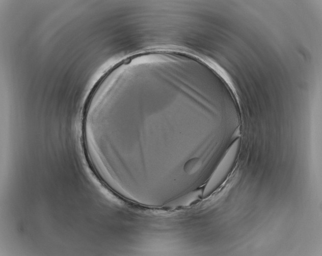 X0000113051005200909241451