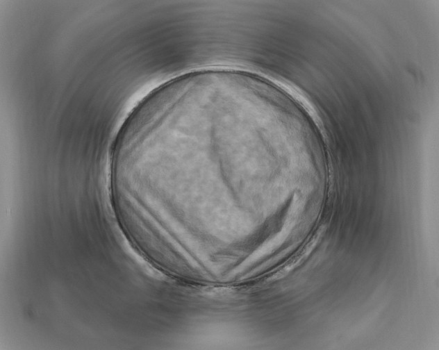X0000113051006200909241451