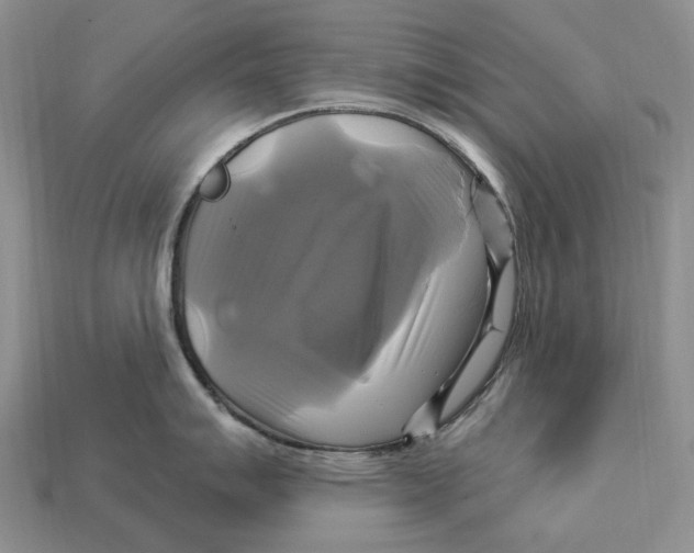 X0000113051007200909241451