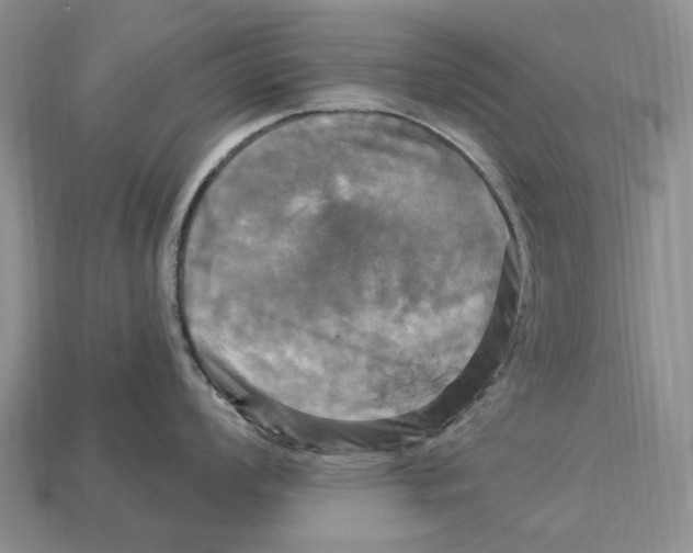 X0000113051008200909241451