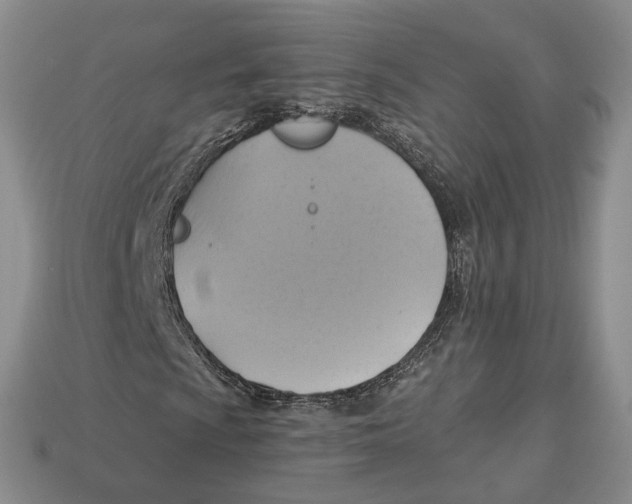 X0000113051009200909241450