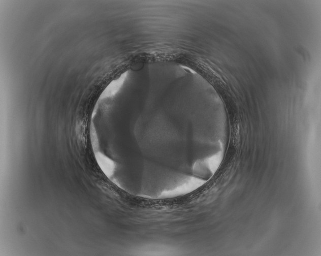 X0000113051010200909241450