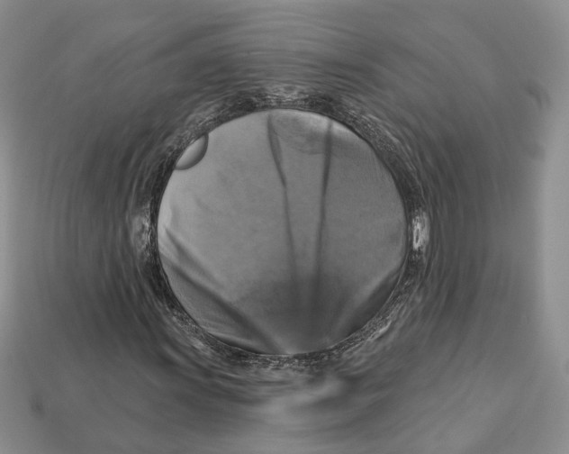 X0000113051011200909241450