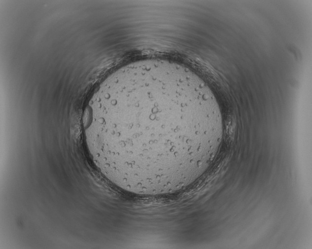 X0000113051012200909241450