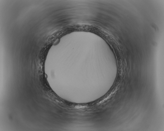 X0000113051013200909241451
