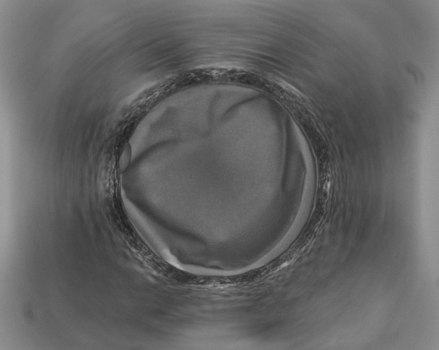 X0000113051014200909241451