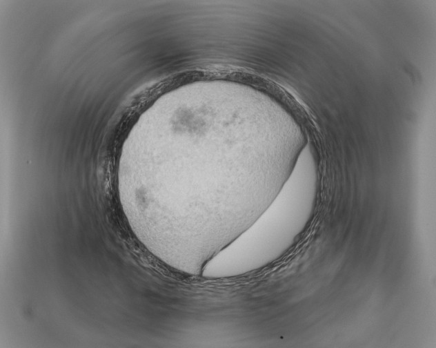 X0000113051016200909241451