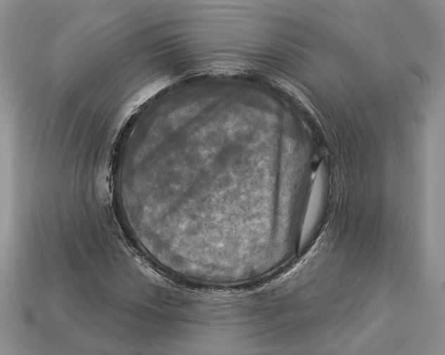 X0000113051018200909241451