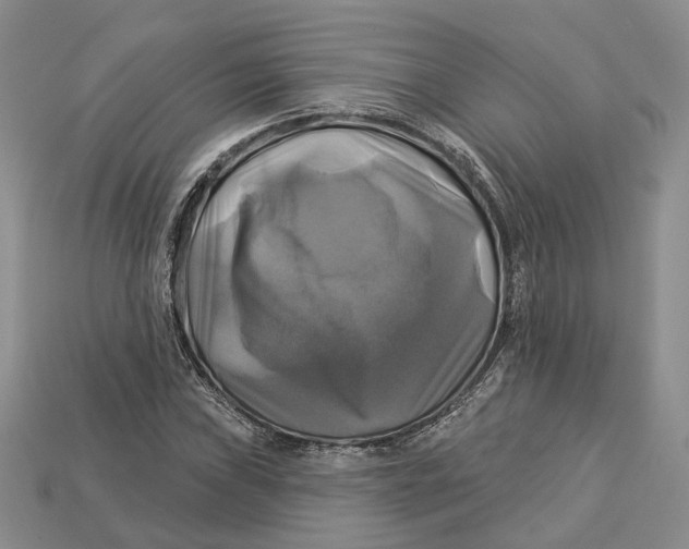 X0000113051019200909241451