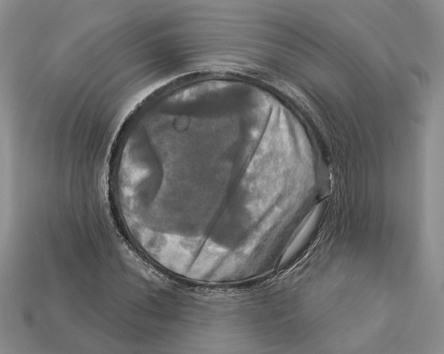 X0000113051020200909241451