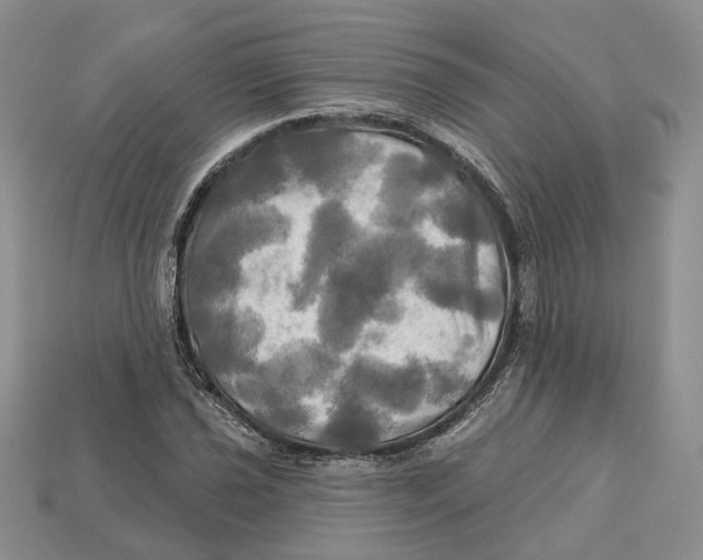 X0000113051021200909241451