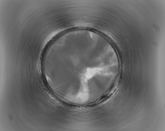X0000113051022200909241451