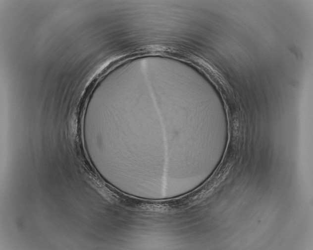 X0000113051023200909241451