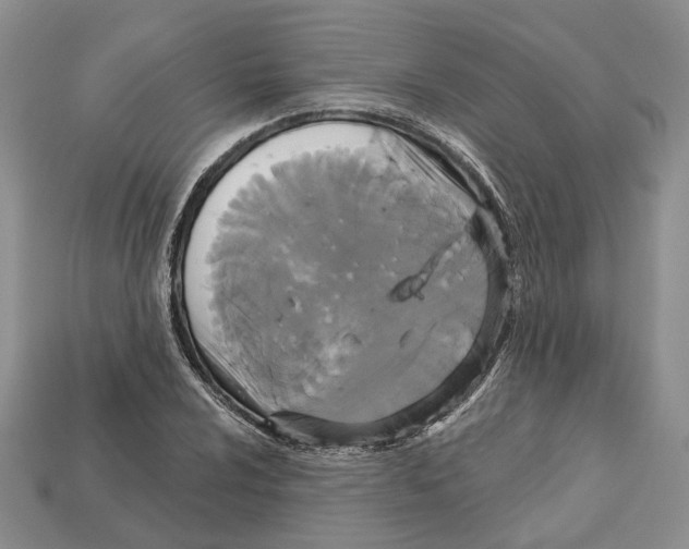 X0000113051024200909241451