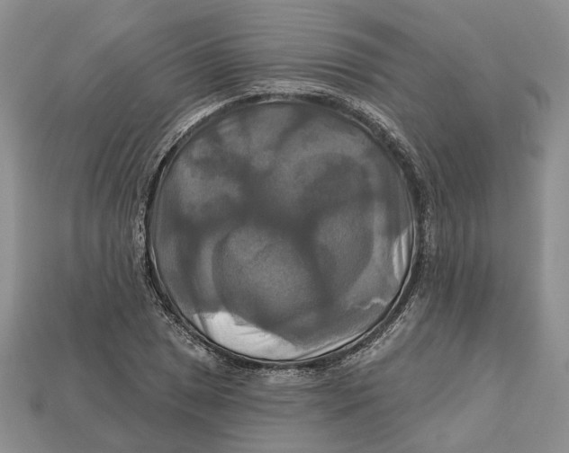 X0000113051025200909241451