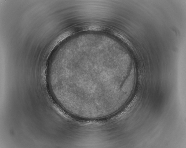 X0000113051026200909241451