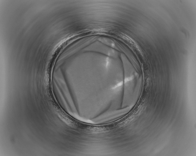 X0000113051027200909241451