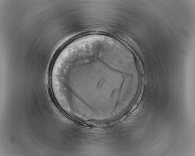 X0000113051028200909241451