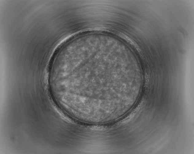 X0000113051029200909241451