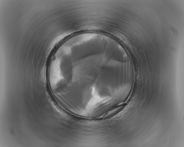 X0000113051030200909241451
