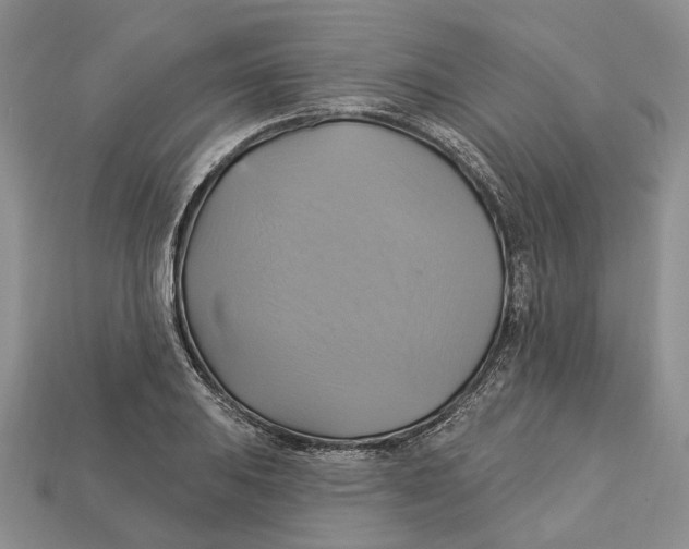 X0000113051031200909241451