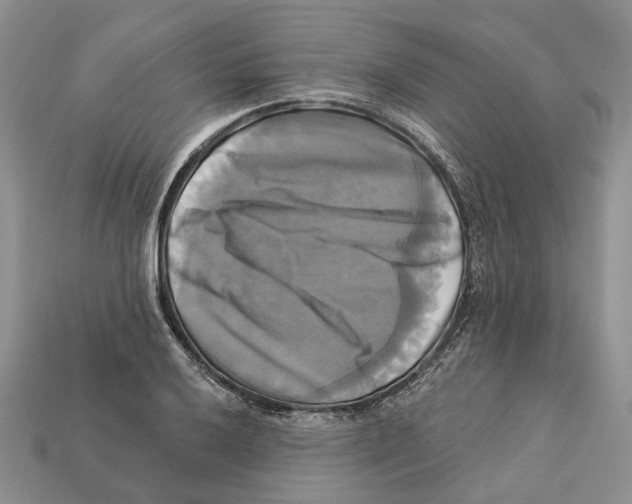 X0000113051032200909241451