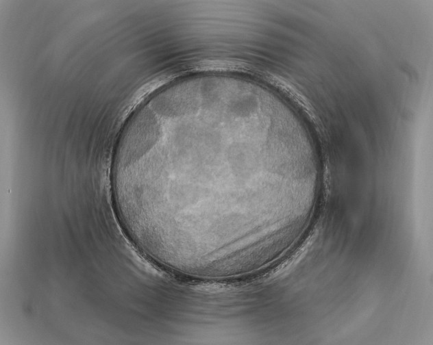 X0000113051033200909241451