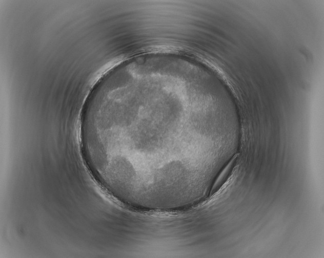 X0000113051034200909241451