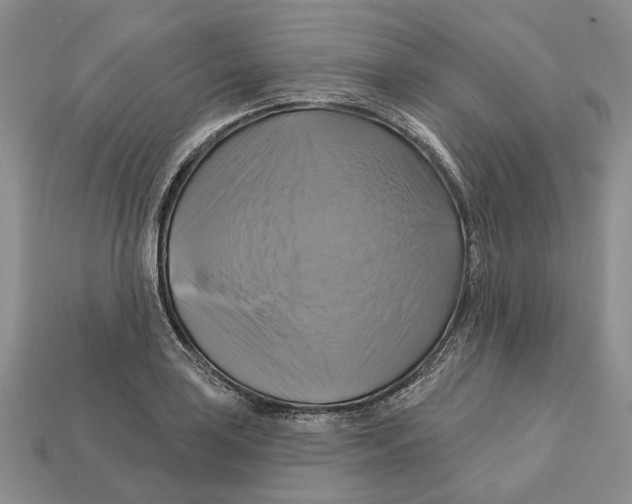 X0000113051035200909241451