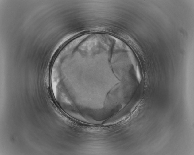 X0000113051036200909241451