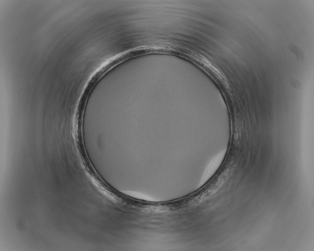 X0000113051037200909241451