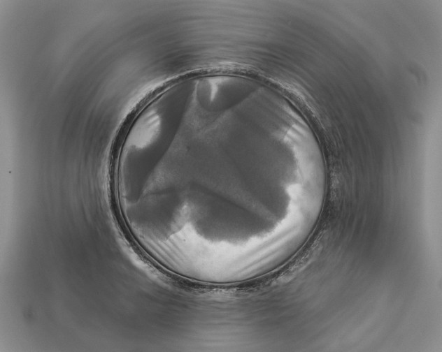 X0000113051038200909241451