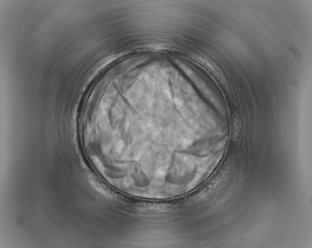 X0000113051039200909241451