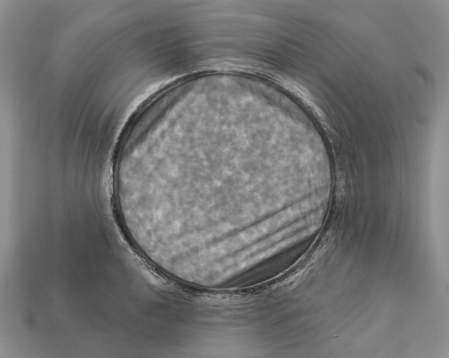 X0000113051040200909241451
