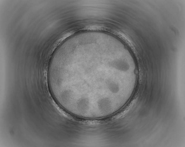 X0000113051041200909241451