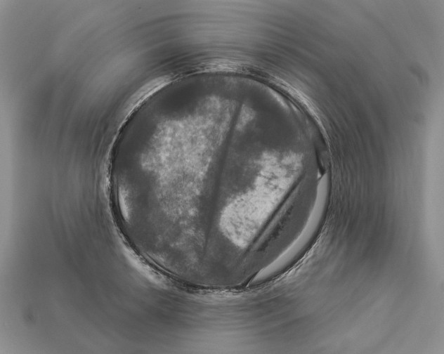 X0000113051042200909241451