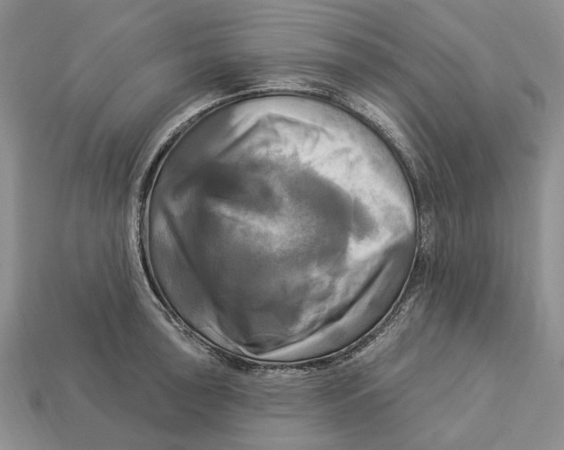 X0000113051043200909241451