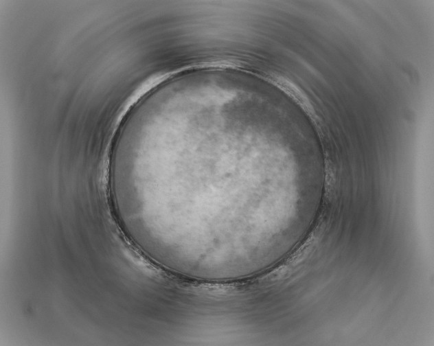 X0000113051044200909241451