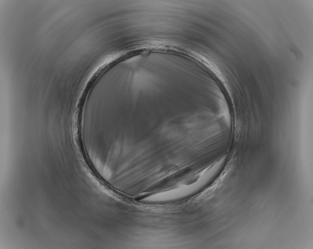 X0000113051045200909241451