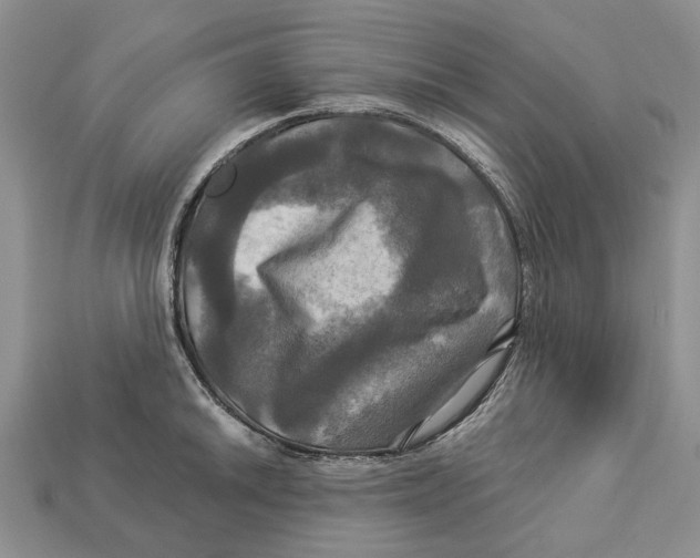 X0000113051046200909241451