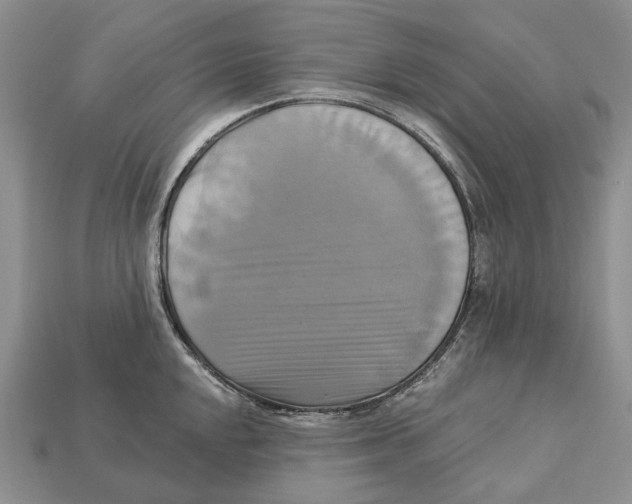 X0000113051048200909241451