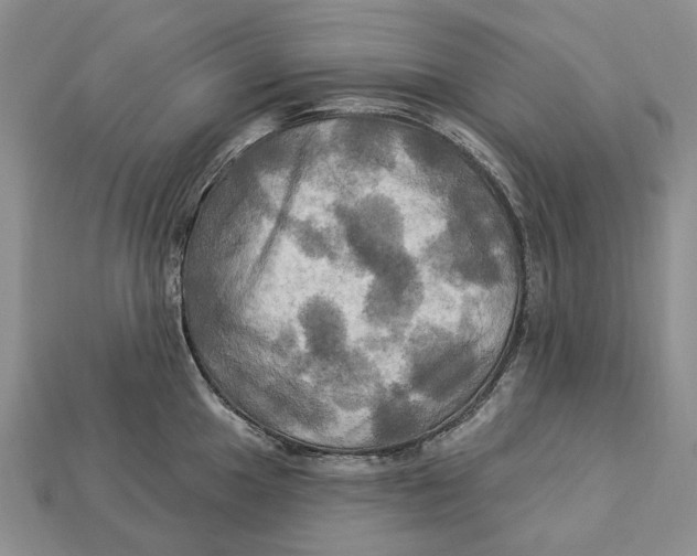 X0000113051049200909241451