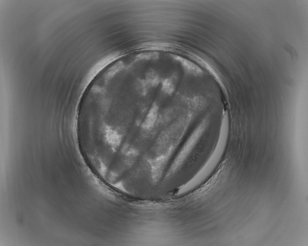 X0000113051050200909241451