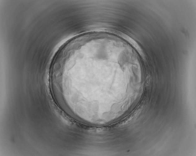 X0000113051051200909241451