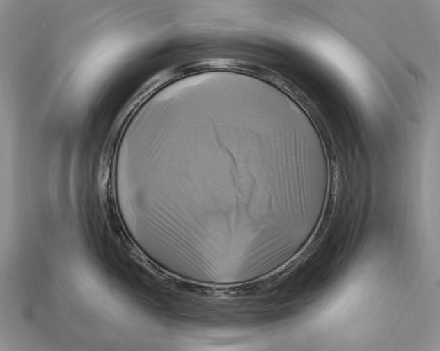 X0000113051052200909241451