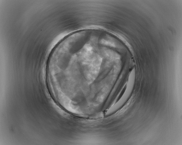 X0000113051054200909241451