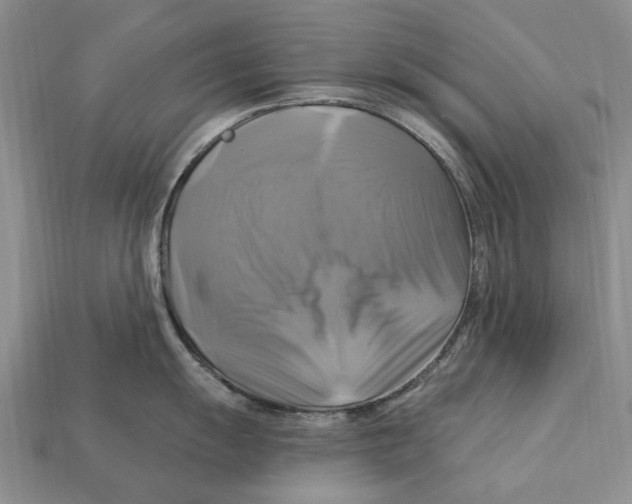 X0000113051055200909241451