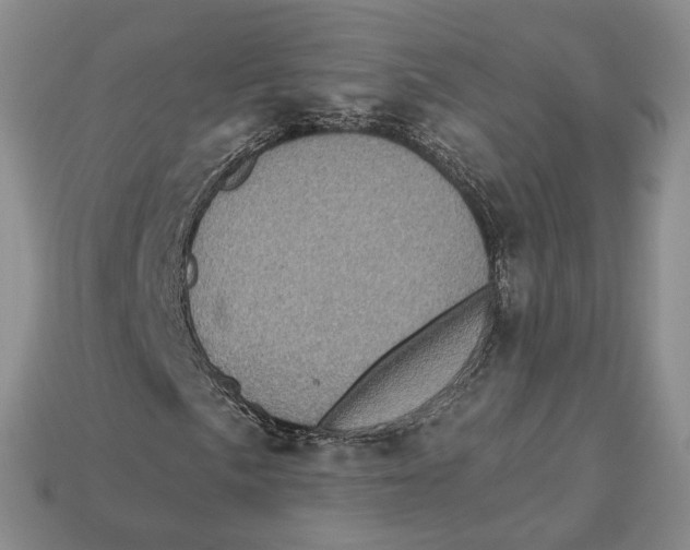 X0000113051057200909241450